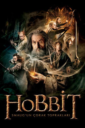 Hobbit 2: Smaug'un Çorak Toprakları - The Hobbit: The Desolation of Smaug